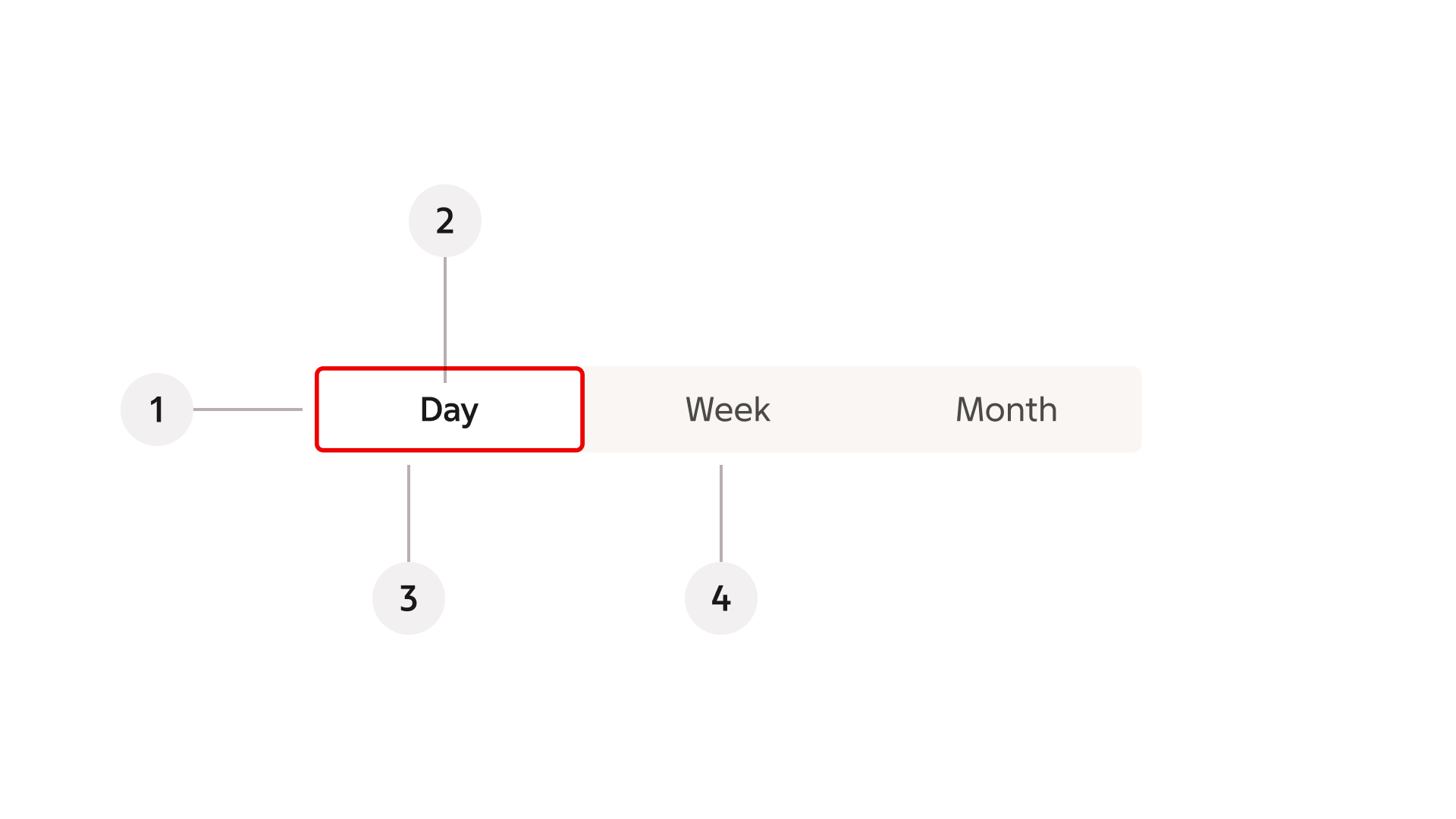 toggle group: Anatomy